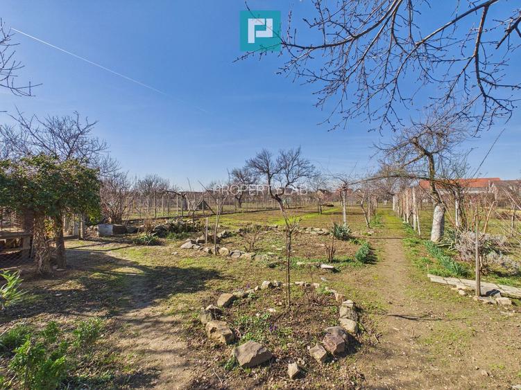 Casă cu 6 camere pe teren de 2029 mp – Miniș - 22