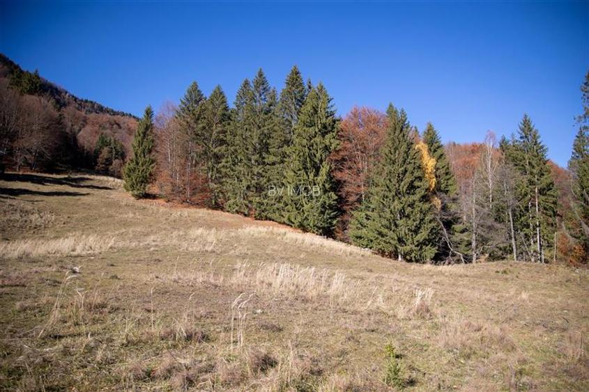 Teren de Vis langa Siriu  – 20000 mp ideal pentru Complex turistic Comision 0% - 17