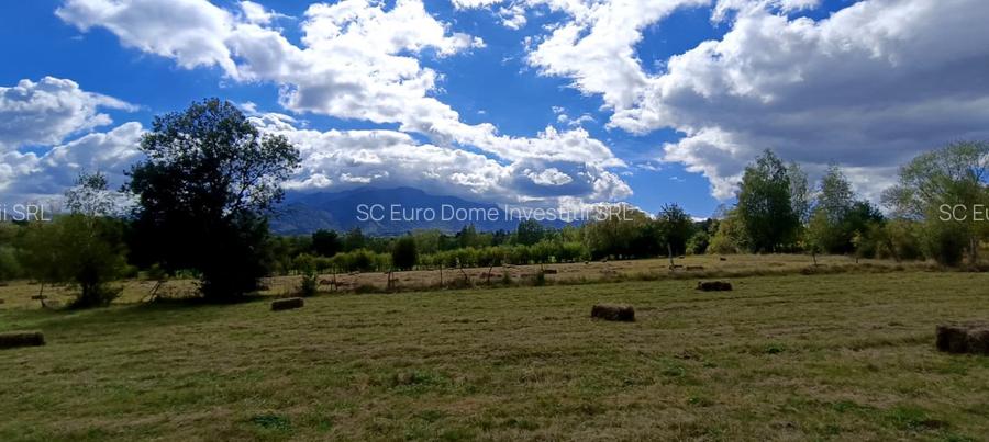 Teren cu suprafata generoasa in zona pitoreasca - Bran Sohodol - 2