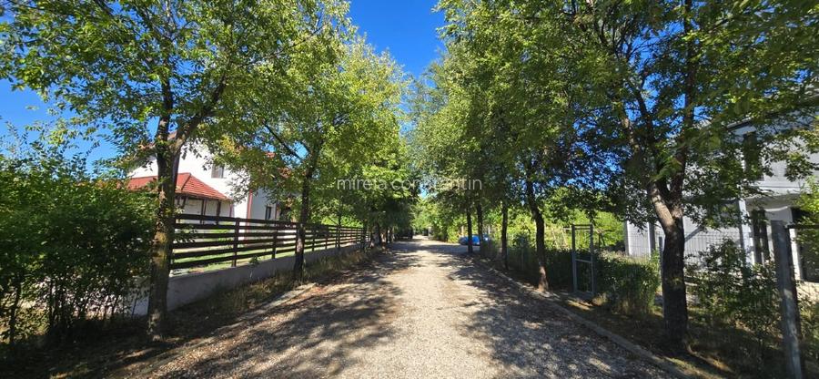 Loturi constructie intre 80-95 Euro/mp - Afumati, Strada Padurii - 2