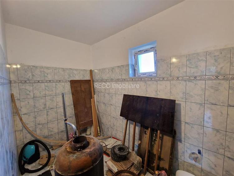 Teren mare cu 2 case in Sabolciu, com. Sacadat - 5