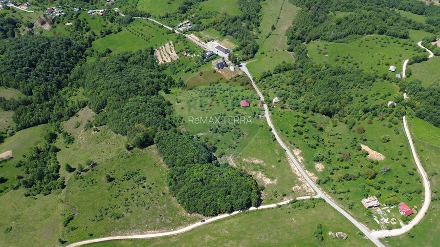 Teren intravilan de vanzare 55 600 mp Codru Butesii - 18