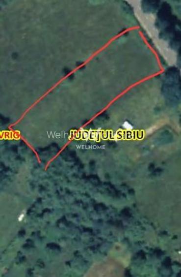 Teren intravilan 2100 mp - Valea Avligului - Sibiu - 2