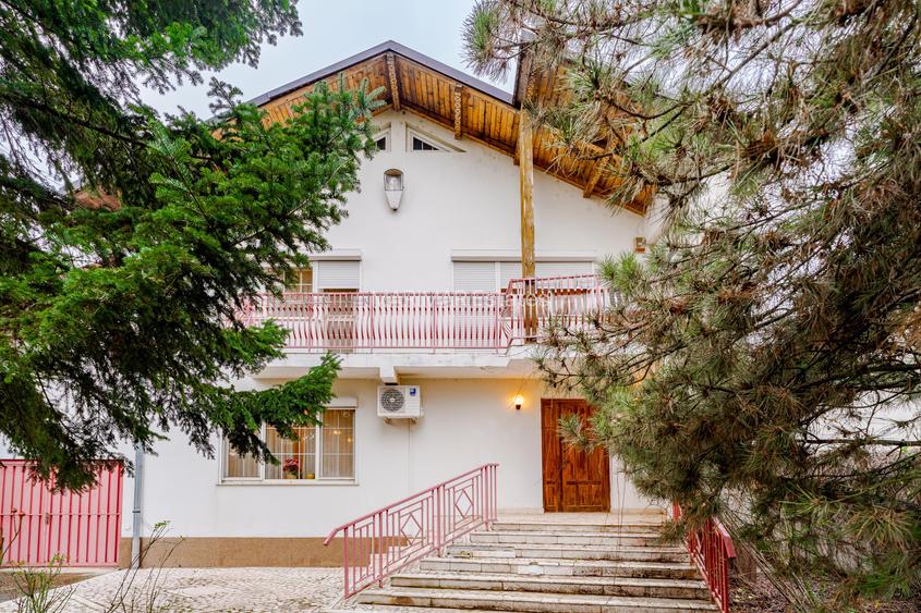 Vilă cu piscină și cabană, teren 2649 mp, Snagov - Ciofliceni - 18