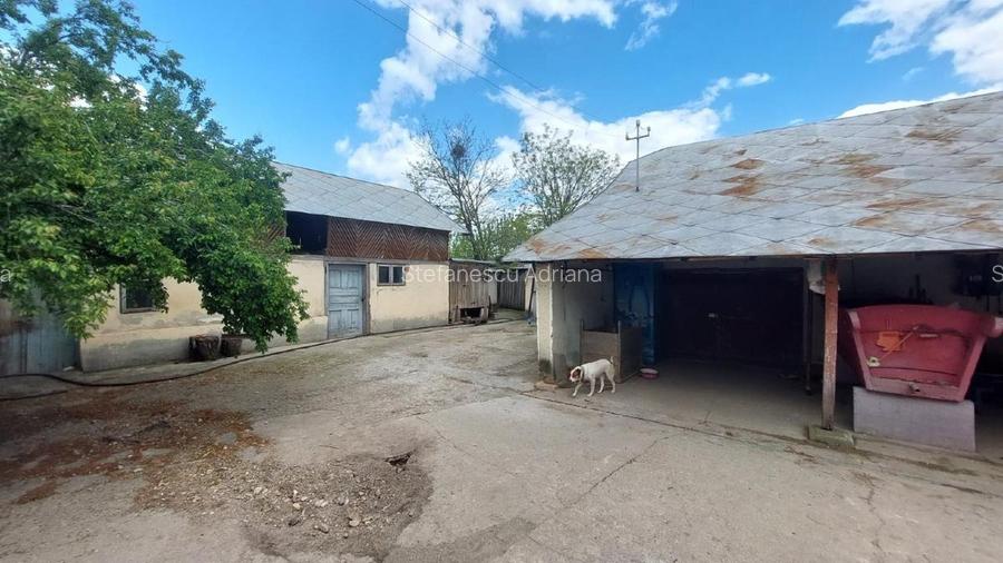 Proprietate cu 2 locuințe + spațiu comercial, 1175 mp teren – Islaz - 5