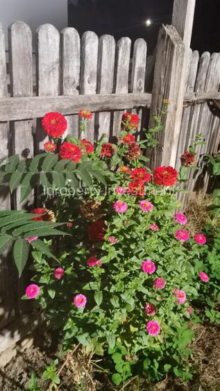 Cotroceni | Casa 3 Camere | Curte | Renovata | Pod Mansardabil - 8