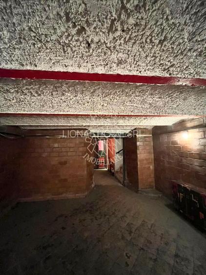 Oportunitate investitie! Apartament 190 mp total-et 1-Ultracentral - 9