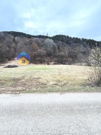 TEREN zona de munte TARCAU - 7