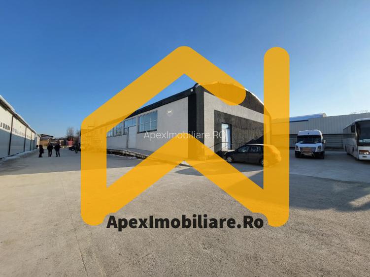 Hala Industriala Xenia – 1800 mp, Acces TIR, Parcare 50 Auto - 3