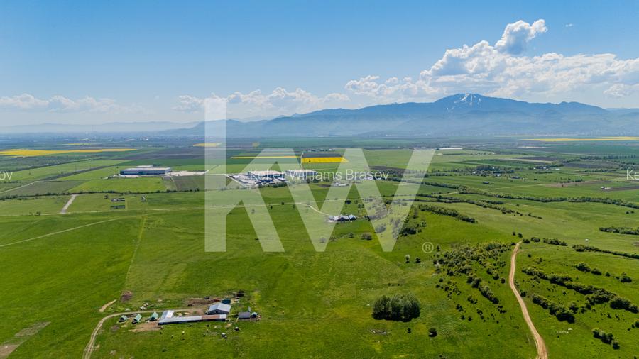 Teren 1500 mp | Zona Viesel – Codlea | Priveliște Superbă | Investiție - 4