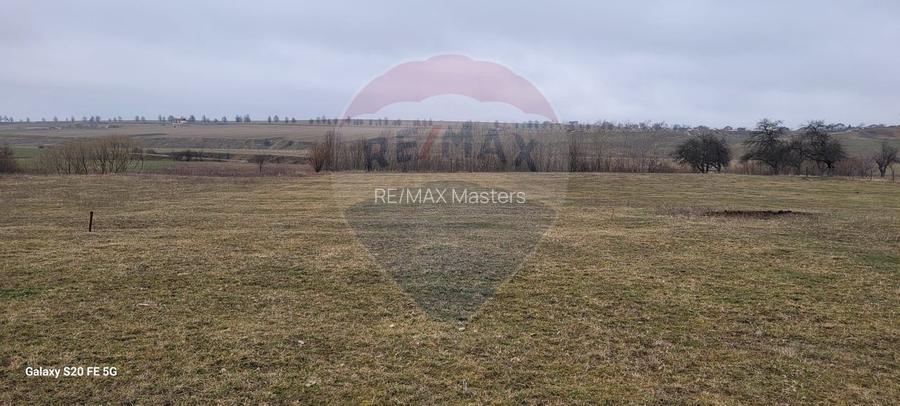 Teren 2925 mp comuna Mitocu Dragomirnei - 17