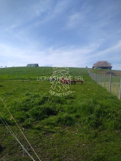 Teren 2500 mp-ideal agricultura/cabane/sera-panorama-Monariu - 5