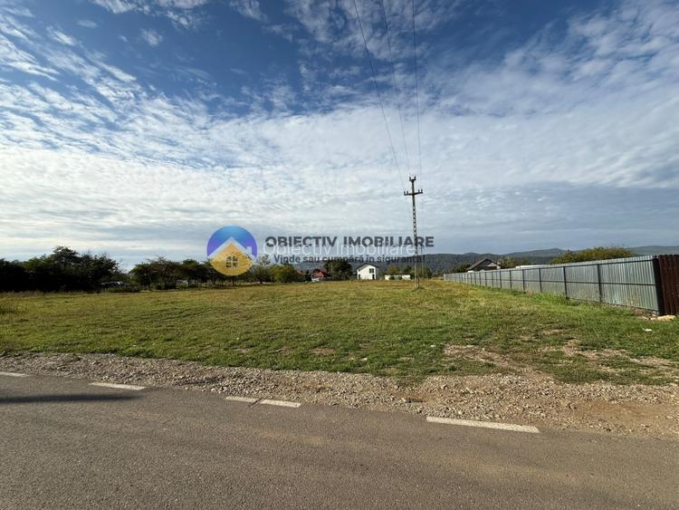 Teren de vanzare 1800 mp – Dumbrava Rosie - 4