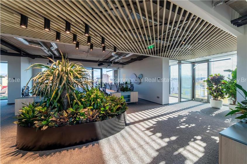 Spatii Birouri - 757 mp - zona centrala - 9