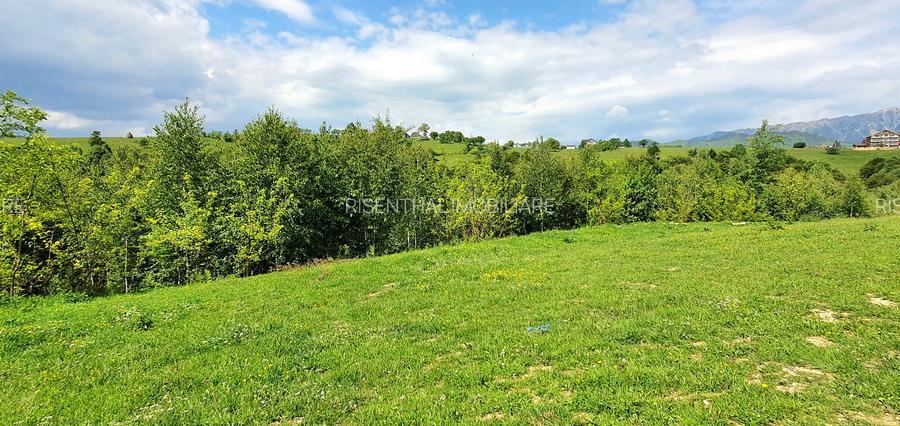Teren pentru casa de vacanta , Pestera , Brasov - 11