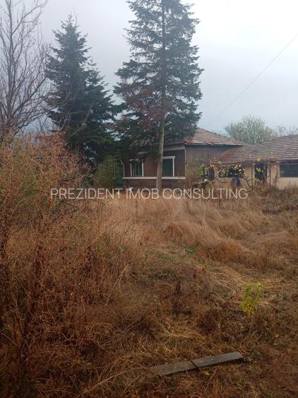 Teren intravilan(tot)curs constructii,Radovanu,CL - 2