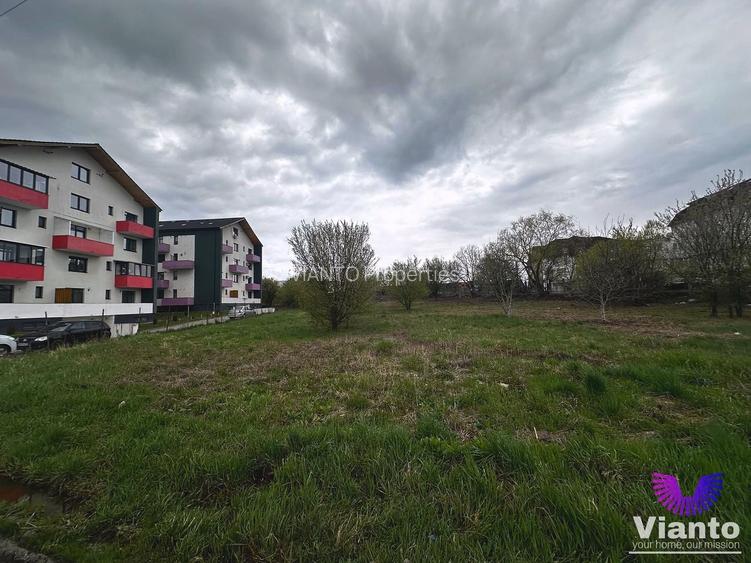 TEREN INTRAVILAN 2000 MPU - NEPPENDORF - TURNISOR - 6