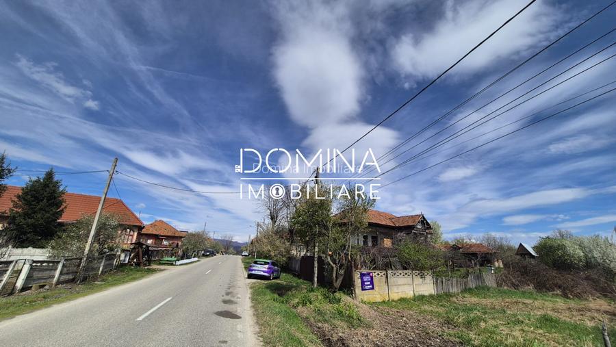 Oportunitate teren 6.504 mp – Curtișoara, la 11 km distanță de Târgu Jiu - 4