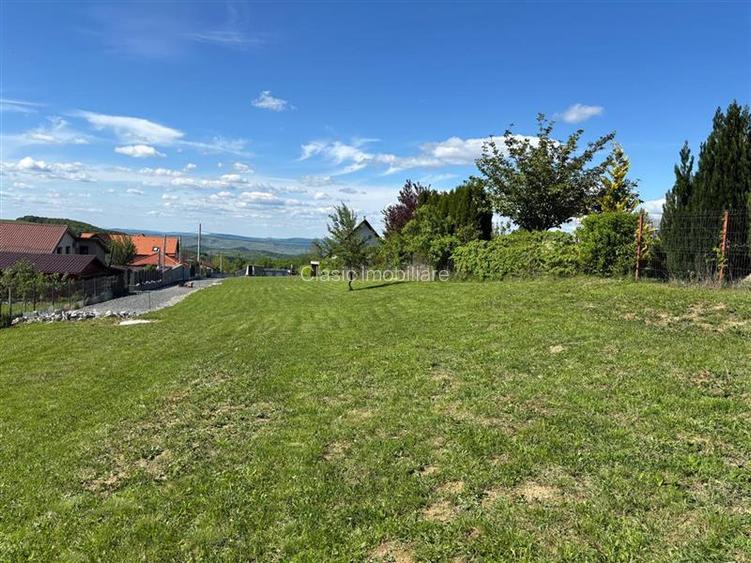 Vanzare teren 2162 mp cu autorizatie pentru casa individuala, zona Salicea, Cluj - 2