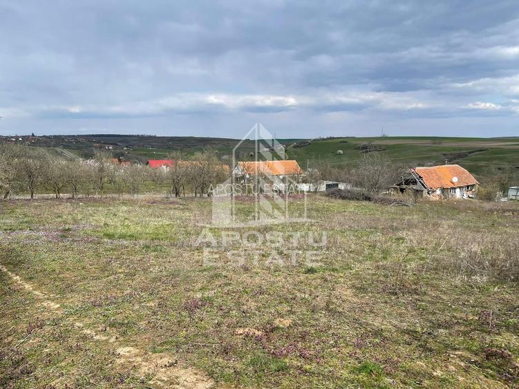 Teren intravilan pentru investitie, 2896 mp, Herneacova Timis - 4