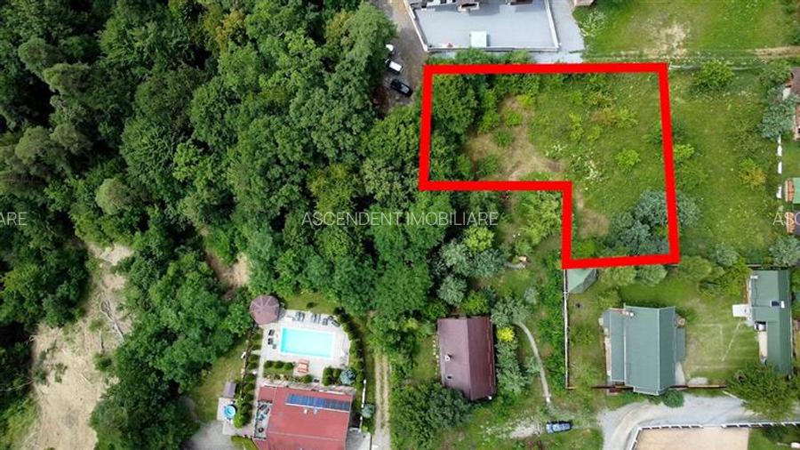 FILM!1.400 mp teren turistic, Sovata: 800m de Lacul Ursu si 300 m de Lacul Negru - 2