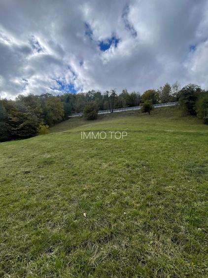 Teren extravilan cu priveliste catre Bucegi – Moieciu de Jos 4.700 mp - 7