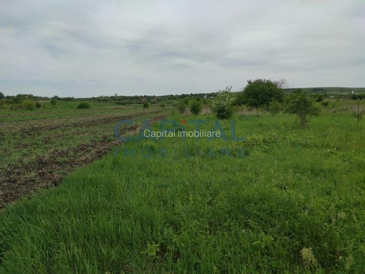 Comision 0%! Oportunitate, teren intravilan, 800 mp Masterplan, Sopor - 3