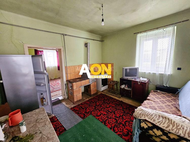 Casă traditională, 3 camere, 1766 mp teren, la asfalt, Vintu de Jos - 12