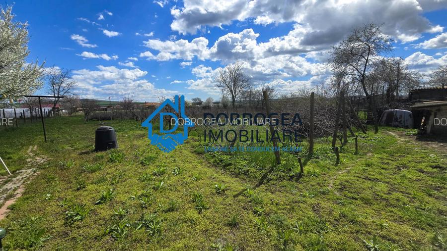 MIHAIL KOGALNICEANU-CASA BATRANEASCA ,TEREN 1975 MP - 3