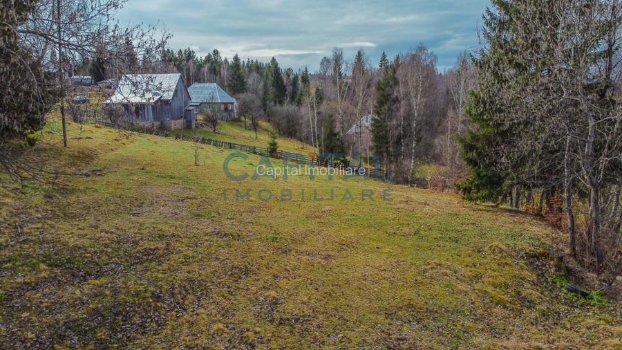 Teren constructie CABANA/CASA,  2980 MP cu utilitati, Dealu Negru, Calatele - 4