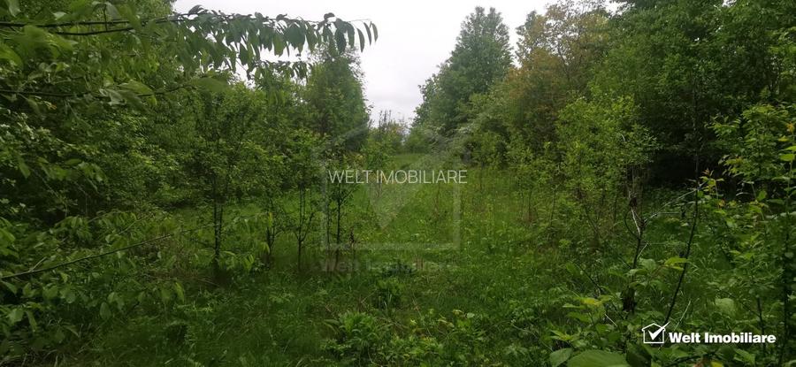 Ocazie!Teren intravilan in comuna Ciurila sat Saliste, priveliste - 2