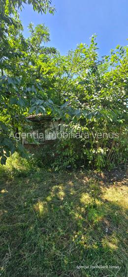 Casa batraneasca cu 4260mp teren la Costesti - 3