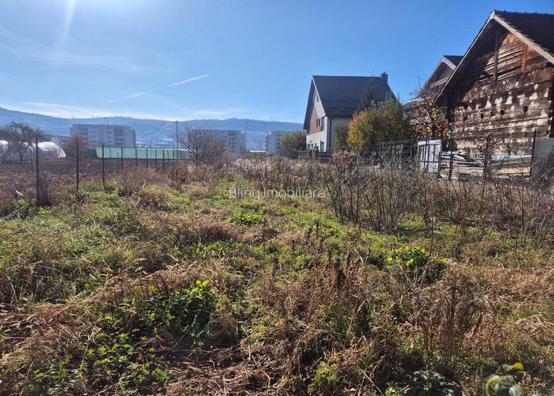 TEREN /CASA DE VANZARE , 1.580 , AVRAM IANCU - 5