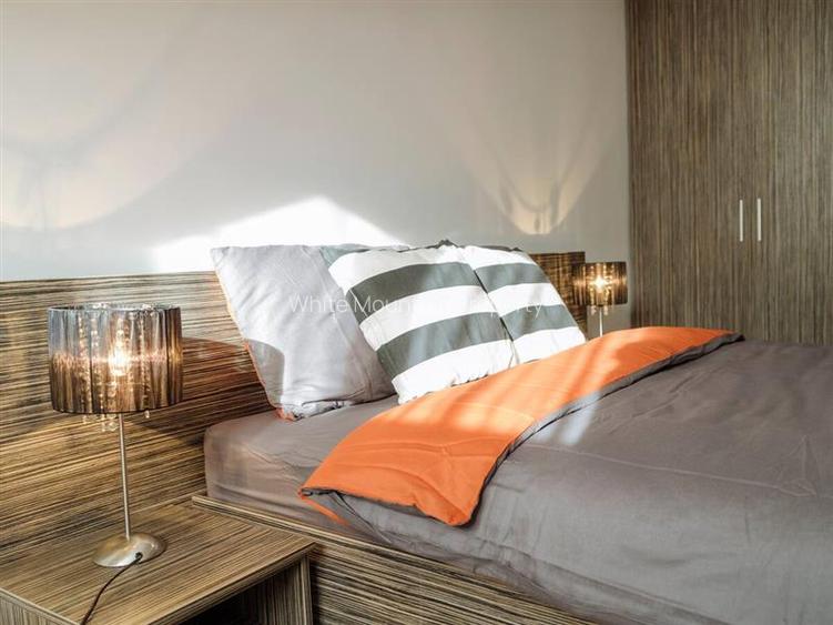 Penthouse 2 camere, inchiriere lunga durata, Herastrau - 15