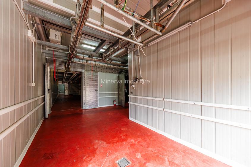 Hala depozitare, Dumbravița Timis, 1285 mp, Farma GDP Medical Cosmetice 6000 Eur - 5