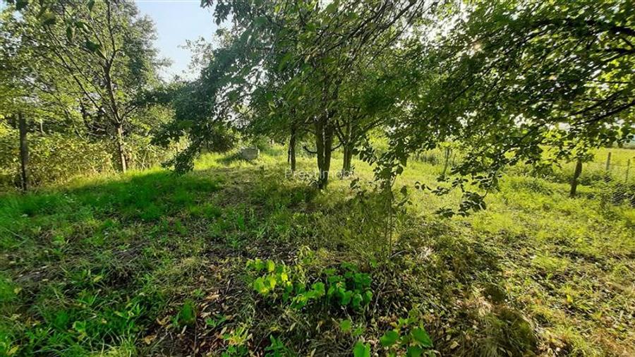 De vanzare teren 16 arii, Santana de Mures - 11