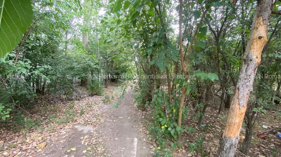 REL4001019 Teren 10 ha langa Kaufland si Crevedia Retail Park - 8