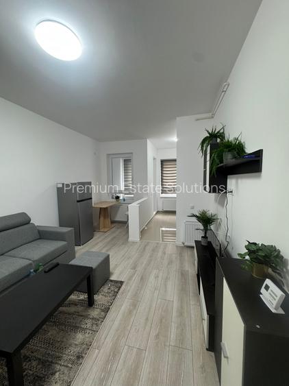 Apartament 2 camere,mobilat si utilat-Ilie Petre 88 - 4