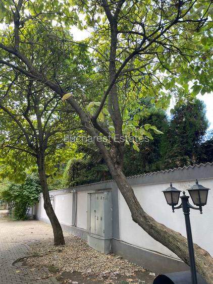 Iancu Nicolae vila 5 dormitoare gradina matura - 5