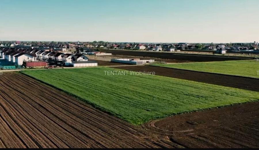 Vanzare Teren  Magurele Varteju 520mp - 4