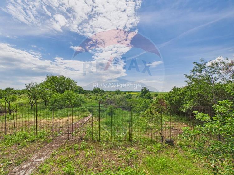 Casă 65 mp + teren 4000 mp, livadă, Butimanu - 27