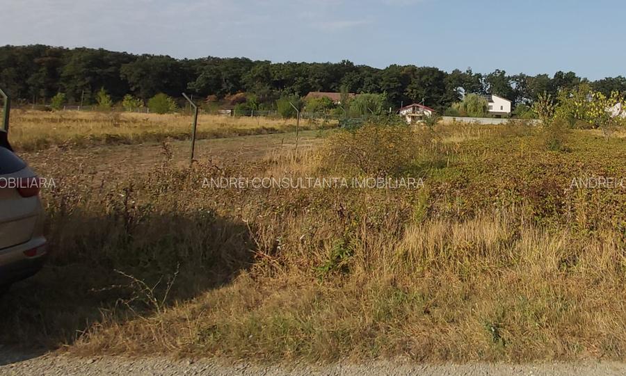 Vanzare 1875 mp teren Snagov, langa padure, zona superba, toate utilitatile - 3