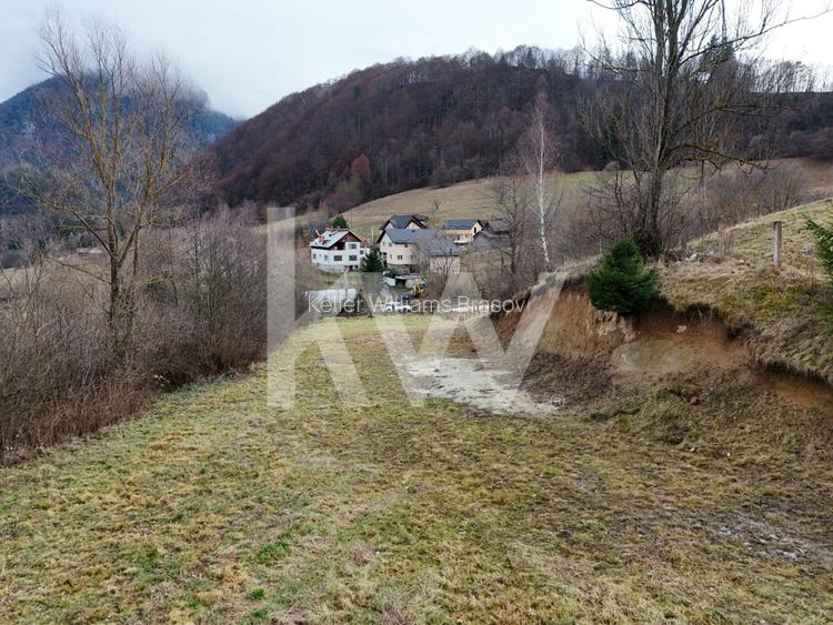 Teren intravilan Dambovicioara / OFERTA -REPOZITIONARE PRET - 5