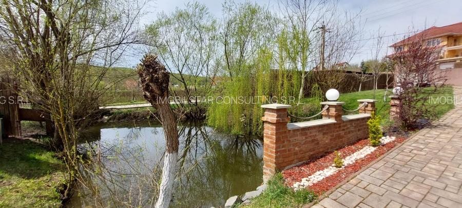 Imobilstar vinde casa in Corunca -Valea Iubirii - 7