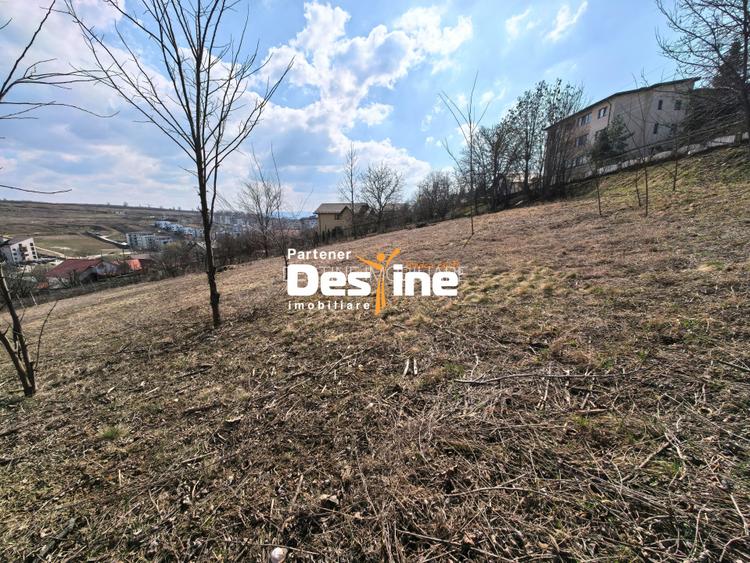 Comision 0% Teren intravilan 3000 mp Str. Soarelui la asfalt utilități la limită - 4