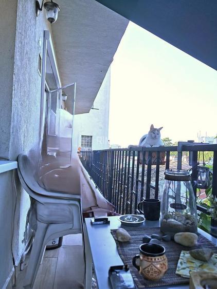 Apartament Plevnei / Orhideea - 7