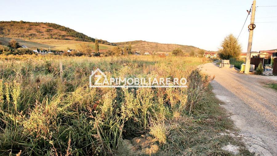 De vanzare 2 terenuri de 29.500 mp si 1.400 mp.29 euro mp - 12