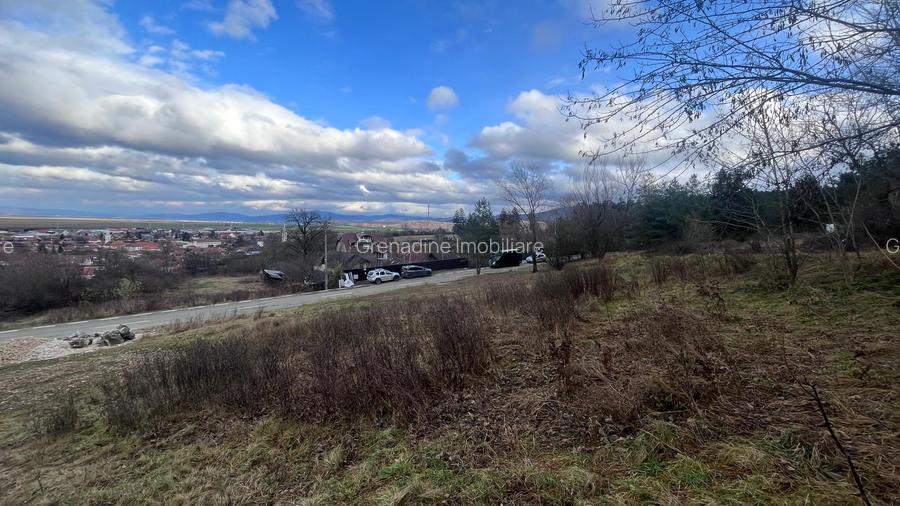 Teren Intravilan 495 mp – Zonă Liniștită Strada Livezii - 5