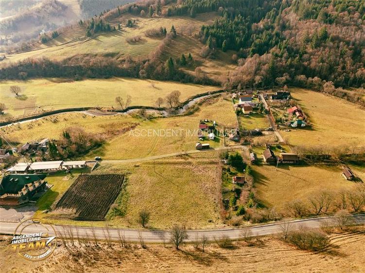 FILM! Teren cu potential, 3100 mp, langa drumul principal, Catrusa, Covasna - 3