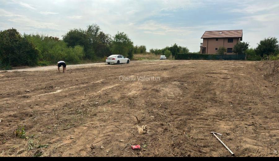 Teren Intravilan 1000 de metri Cernica Caldararu la Padure si lac  - 2